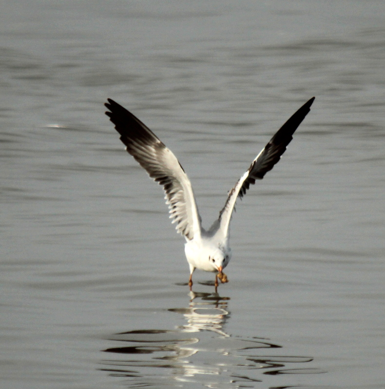 http://i.dcview.tw/gallery/201112/705c4d032dbdaa0f6447120a65a14f42.jpg