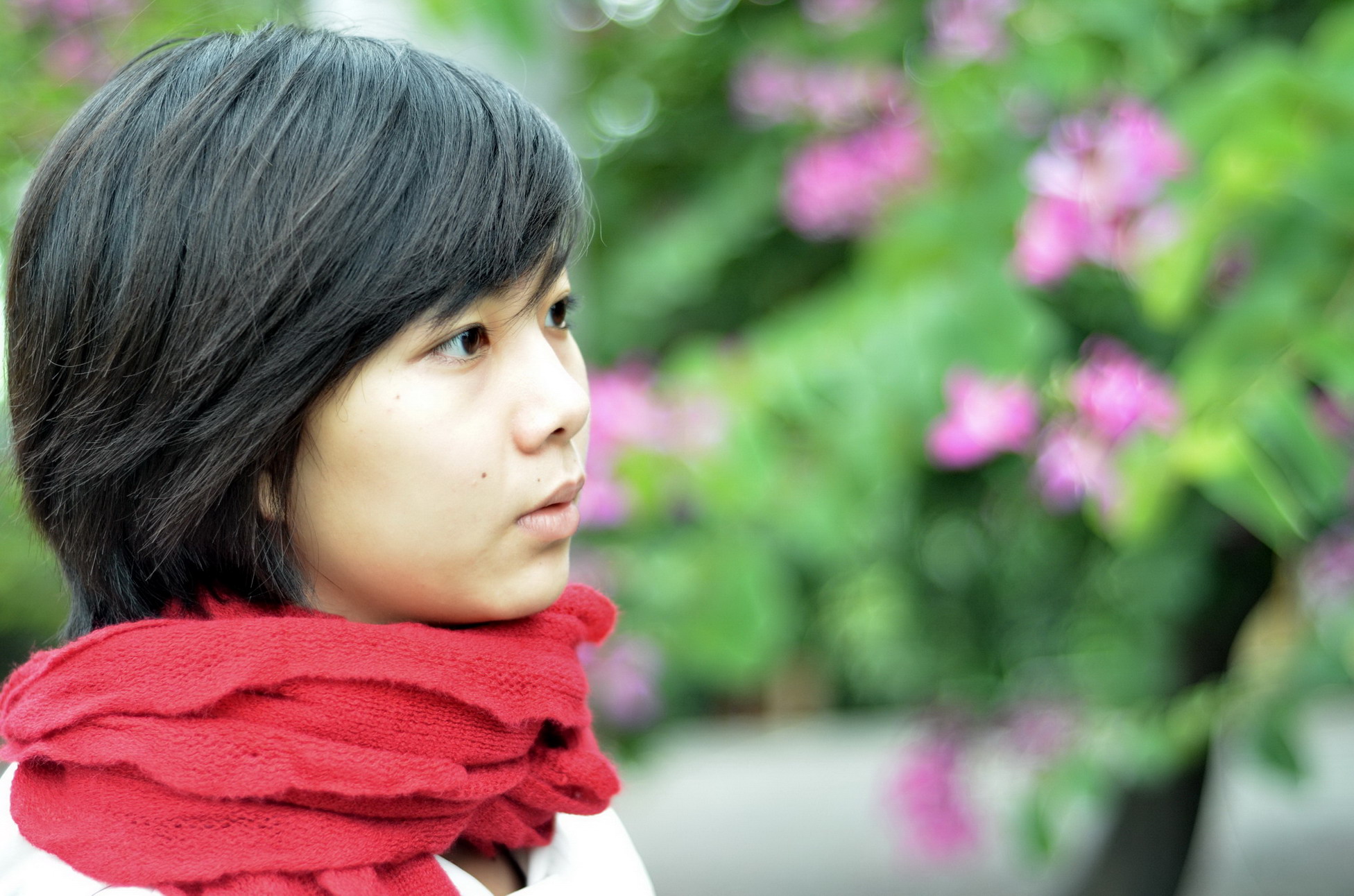 http://i.dcview.tw/gallery/201112/70a0eb4ac09a1c6db56e66ea82b0377e.jpg