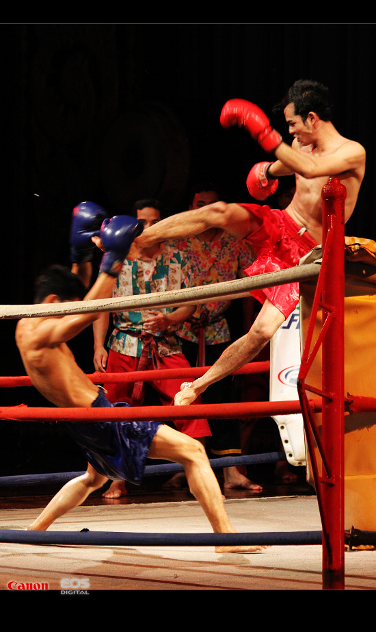http://i.dcview.tw/gallery/201112/73d7ca08cea2bf408dc4eec86c575e16.jpg