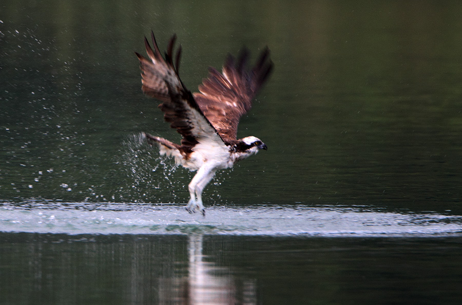 http://i.dcview.tw/gallery/201112/7477f16ac69addc3bc95eebc407b071e.jpg