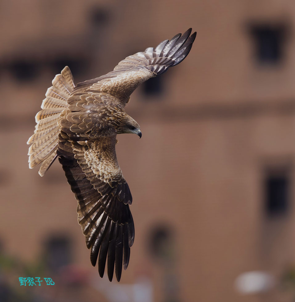 http://i.dcview.tw/gallery/201112/75d82f0afe9220f7fe496c6bf989b588.jpg