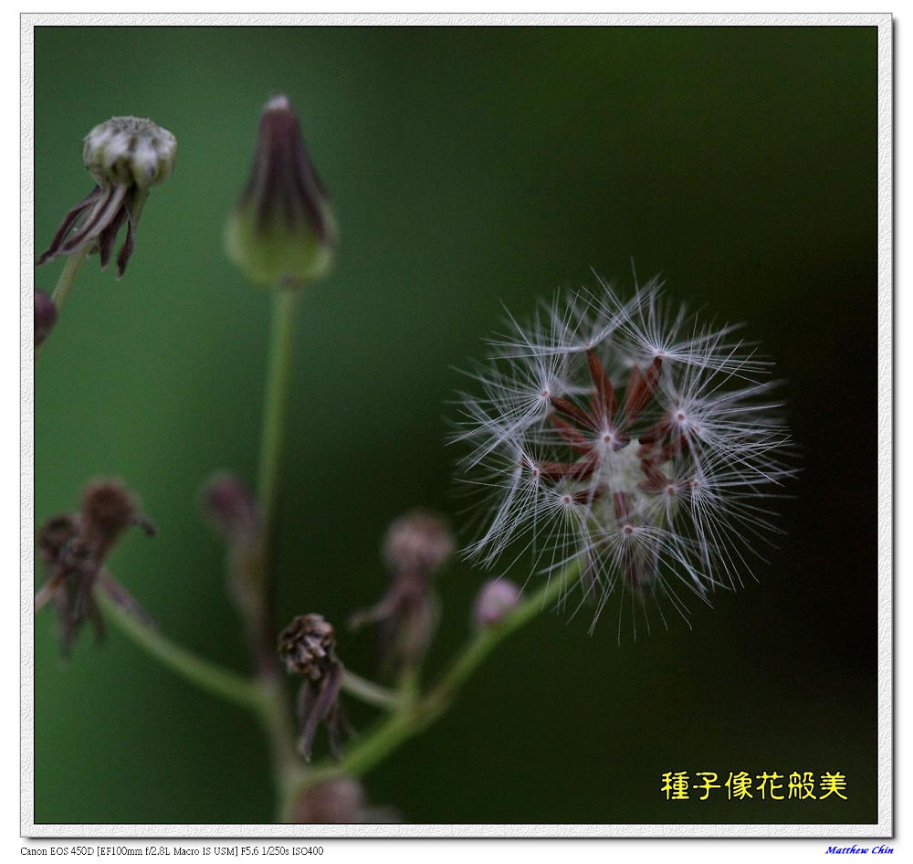 http://i.dcview.tw/gallery/201112/77990836446a7dd5f024fce2e90da245.jpg