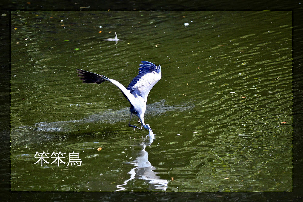 http://i.dcview.tw/gallery/201112/79d1fd681bda264e20199d9a9359653e.jpg