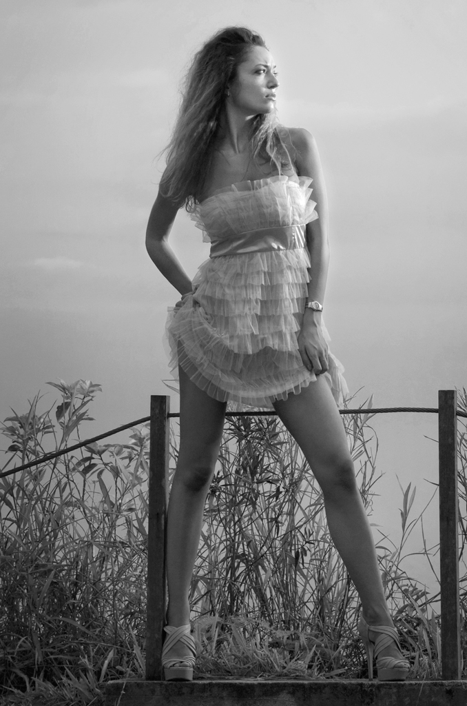 http://i.dcview.tw/gallery/201112/7c1010c281a1f6656329869d4b187ca2.jpg