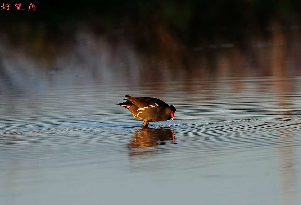 http://i.dcview.tw/gallery/201112/7de757c52d636e3ed780ffc309a66700.jpg