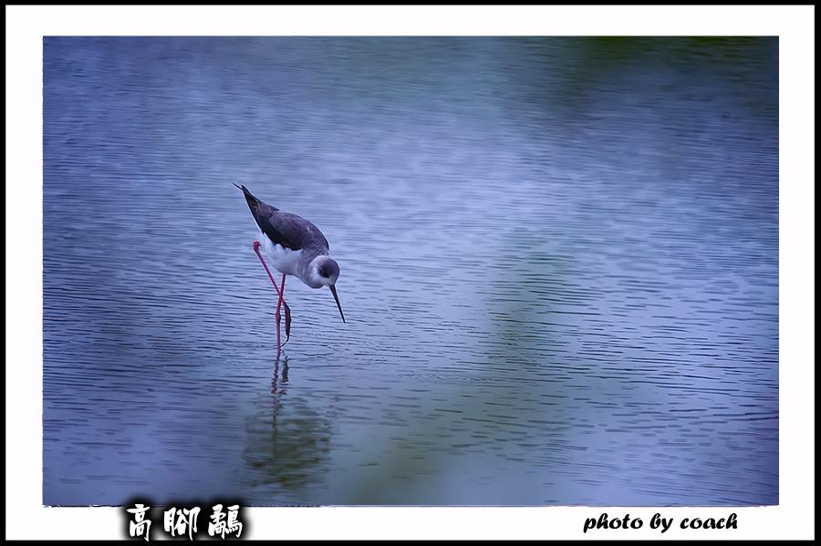 http://i.dcview.tw/gallery/201112/7e9596739af8a7aa2a94d083aac1005a.jpg