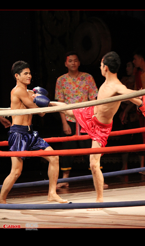 http://i.dcview.tw/gallery/201112/8226e66601d2f2e1a08a6257dcacc303.jpg