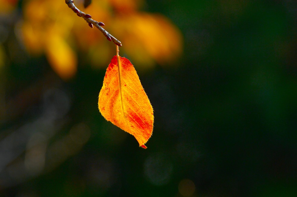 http://i.dcview.tw/gallery/201112/87f3169b254edf753136656c5fa6b324.jpg