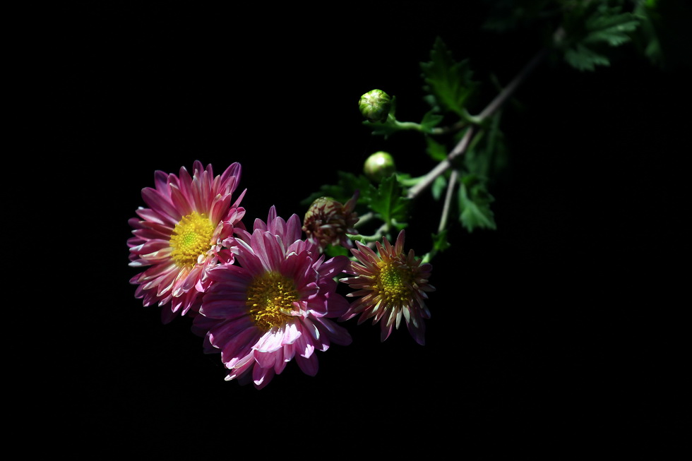 http://i.dcview.tw/gallery/201112/8bb3949a1f55a3325a2eddc1162b8bcd.jpg