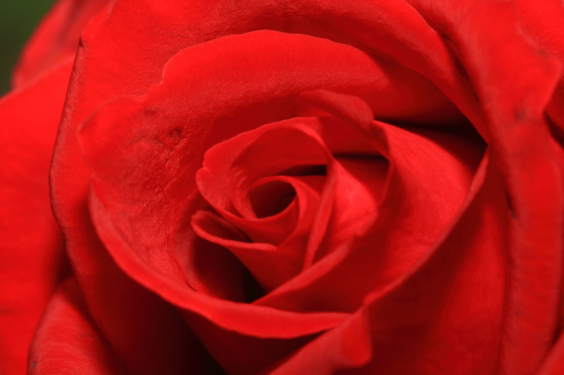 http://i.dcview.tw/gallery/201112/8c5be6f580062452d03f320f9123fb3e.jpg