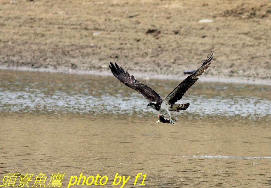 http://i.dcview.tw/gallery/201112/8d7911daa55f063a53d52735165b321f.jpg