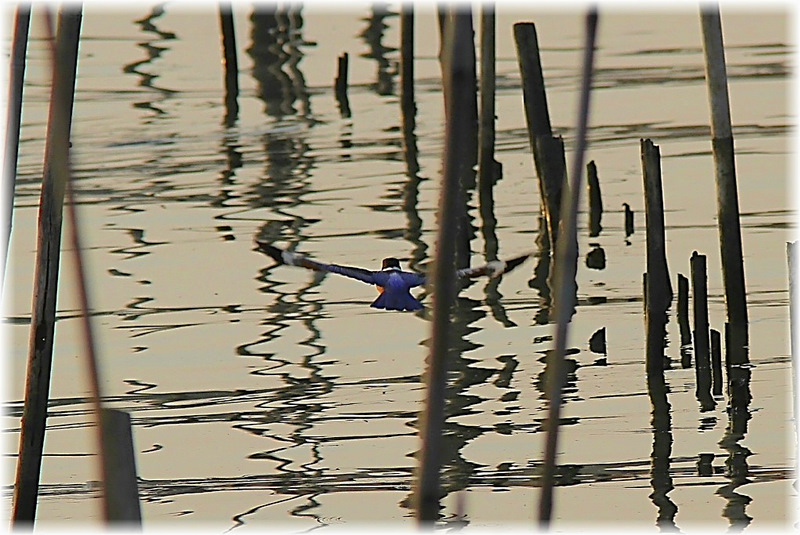 http://i.dcview.tw/gallery/201112/91d209ed5715ebcf093e1338088a5a0b.jpg