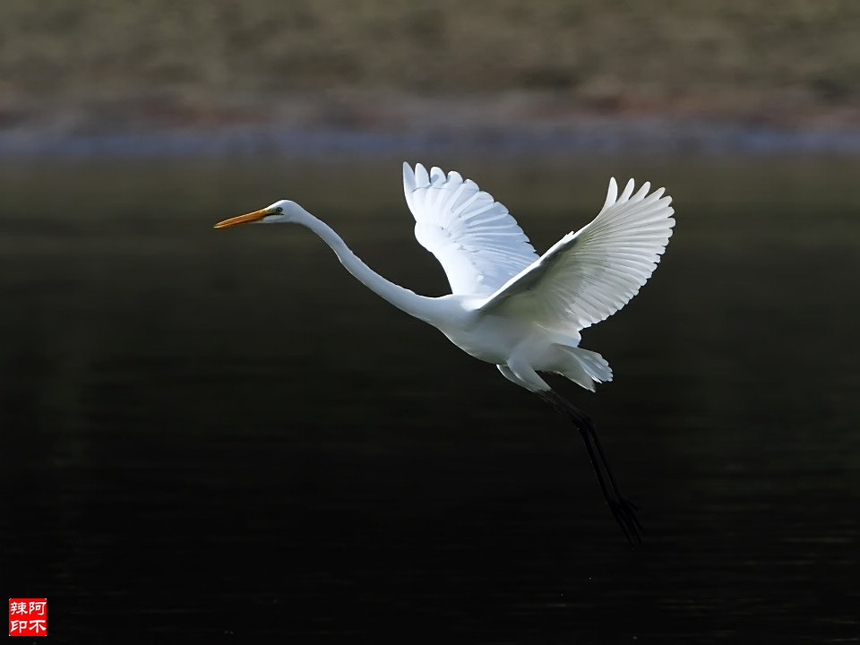 http://i.dcview.tw/gallery/201112/92a6b3a75485bd073c2f11d13f53c333.jpg