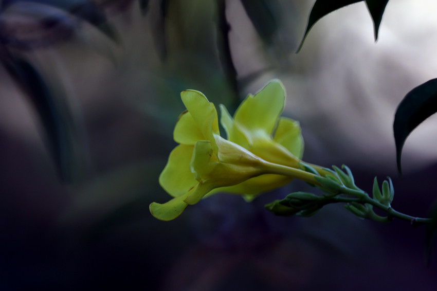 http://i.dcview.tw/gallery/201112/95665624a8d2ef82c24fd7f335542cea.jpg