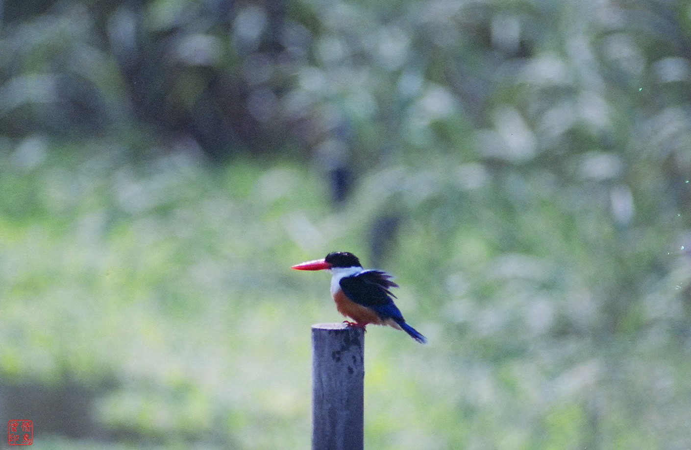 http://i.dcview.tw/gallery/201112/97c5b1c4ac15f3b1d5a310fbfd888d5e.jpg