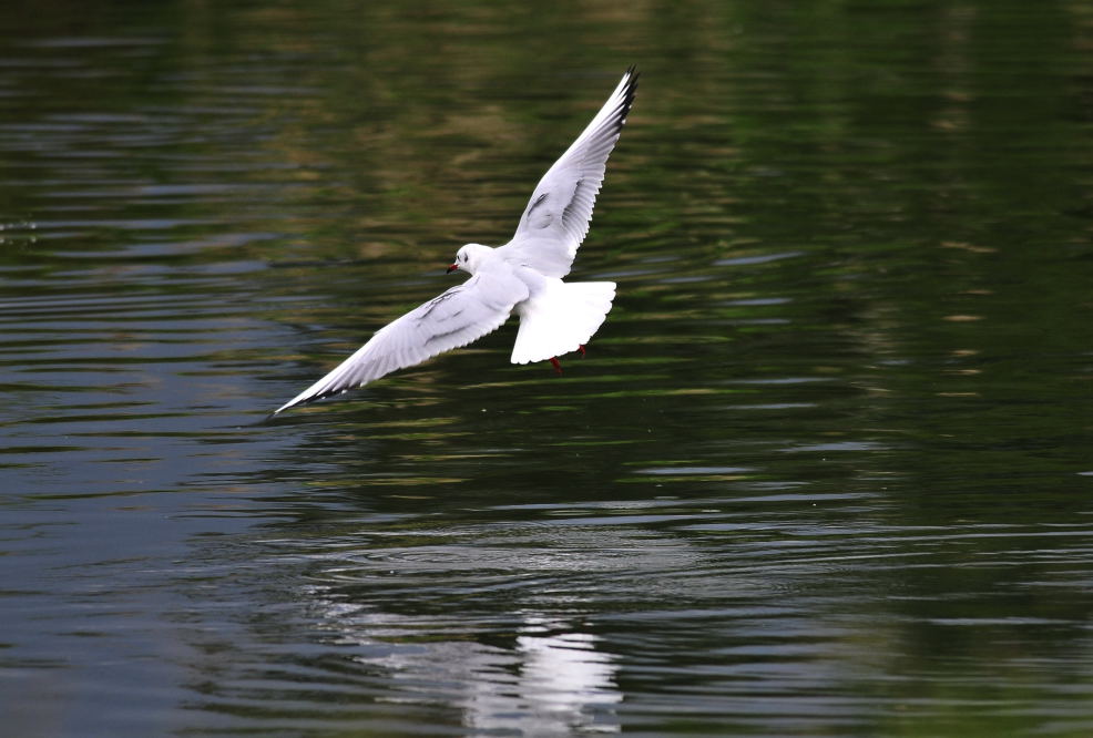 http://i.dcview.tw/gallery/201112/9d035dac62e07c7eb053d3ad4a1ea2dd.jpg