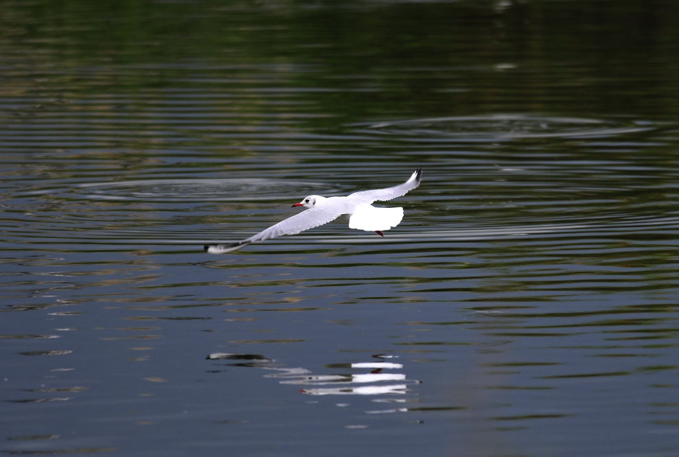 http://i.dcview.tw/gallery/201112/a1db4236ce053940ce16bd267ca7daad.jpg