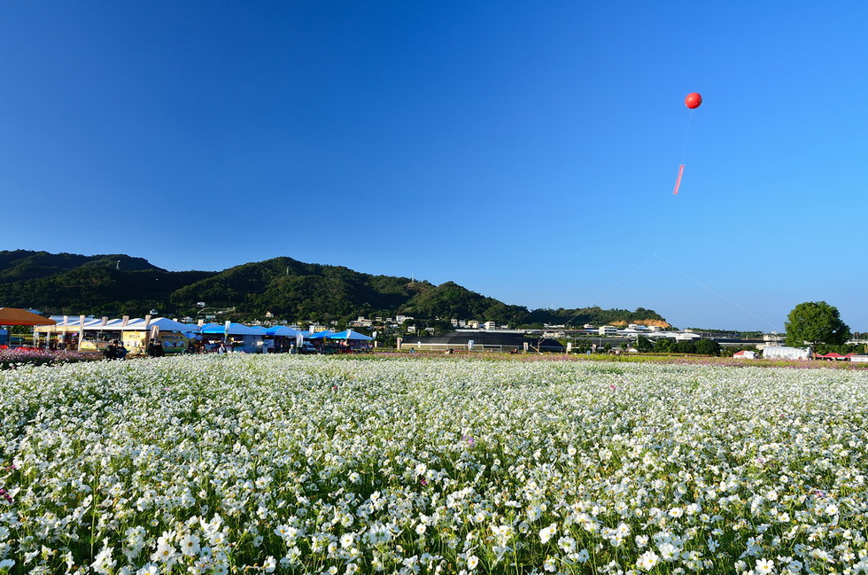 http://i.dcview.tw/gallery/201112/a5ed9b987589bd19bb02642e4acc3e4e.jpg