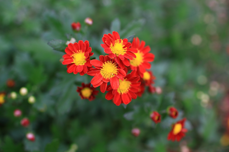 http://i.dcview.tw/gallery/201112/abd2d48a073325d02fb0fde4052ad938.jpg