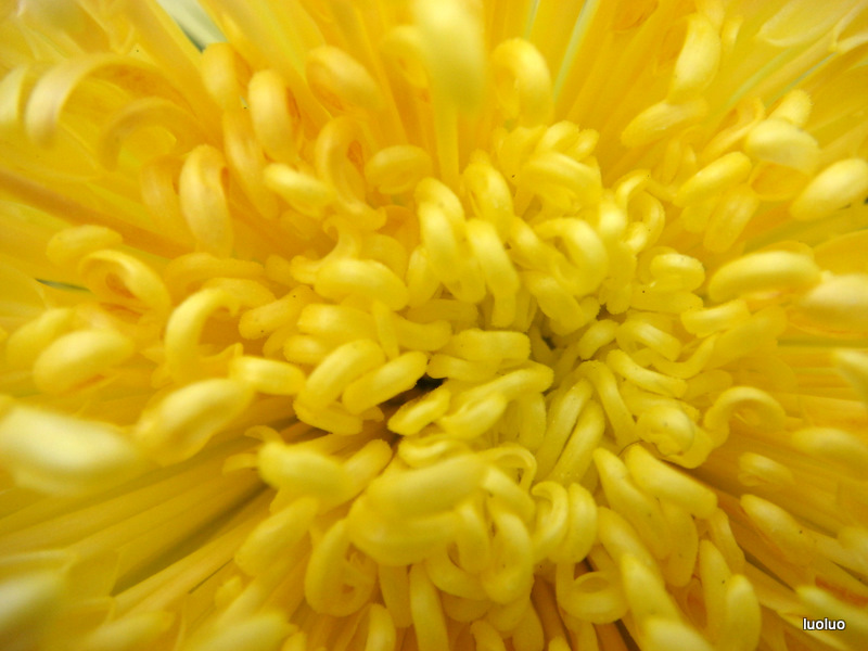 http://i.dcview.tw/gallery/201112/b3061b0762b9ec3829ea488c7a628025.jpg