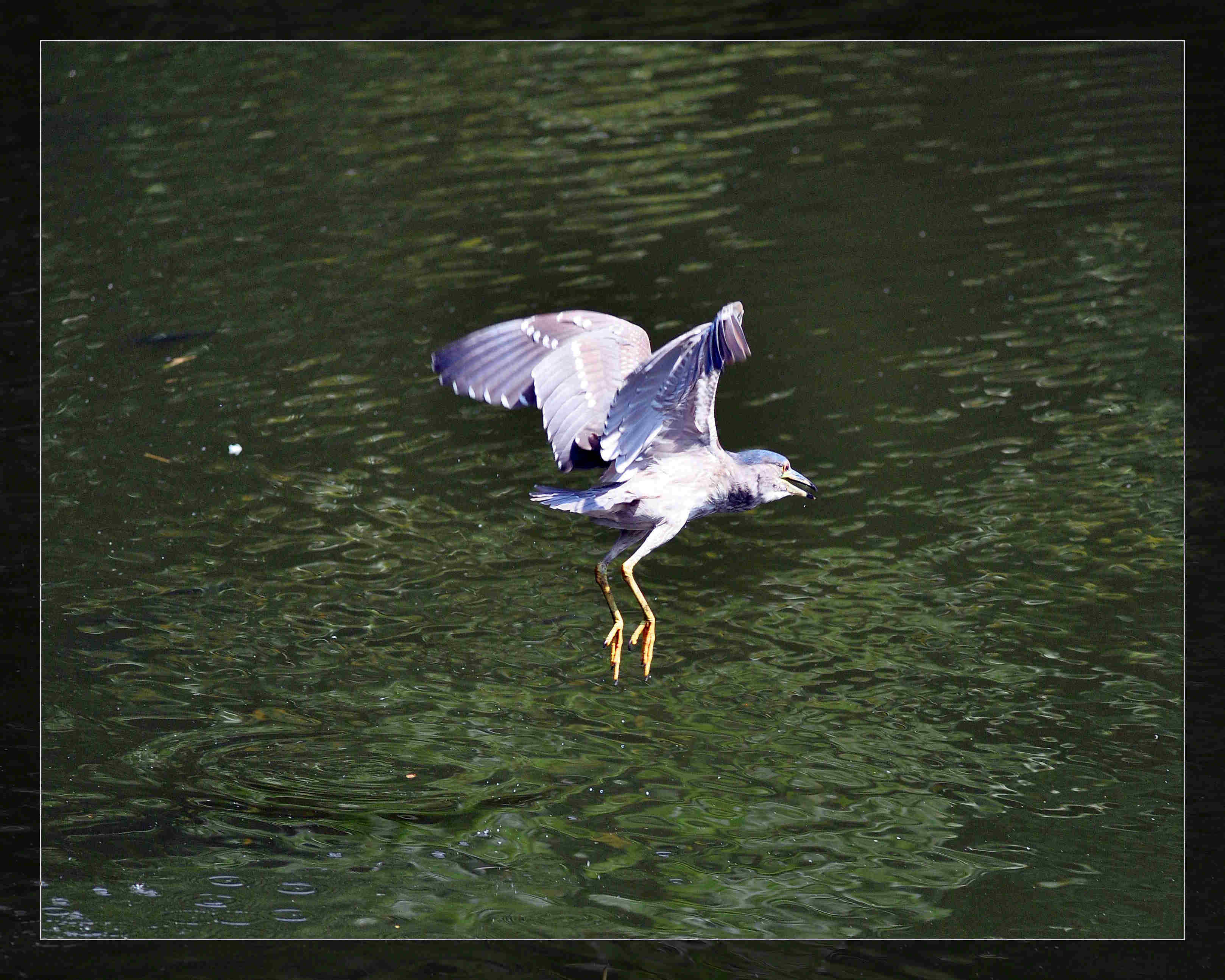 http://i.dcview.tw/gallery/201112/b344c9b1a2b1bcfdfbc55d345a3afc74.jpg