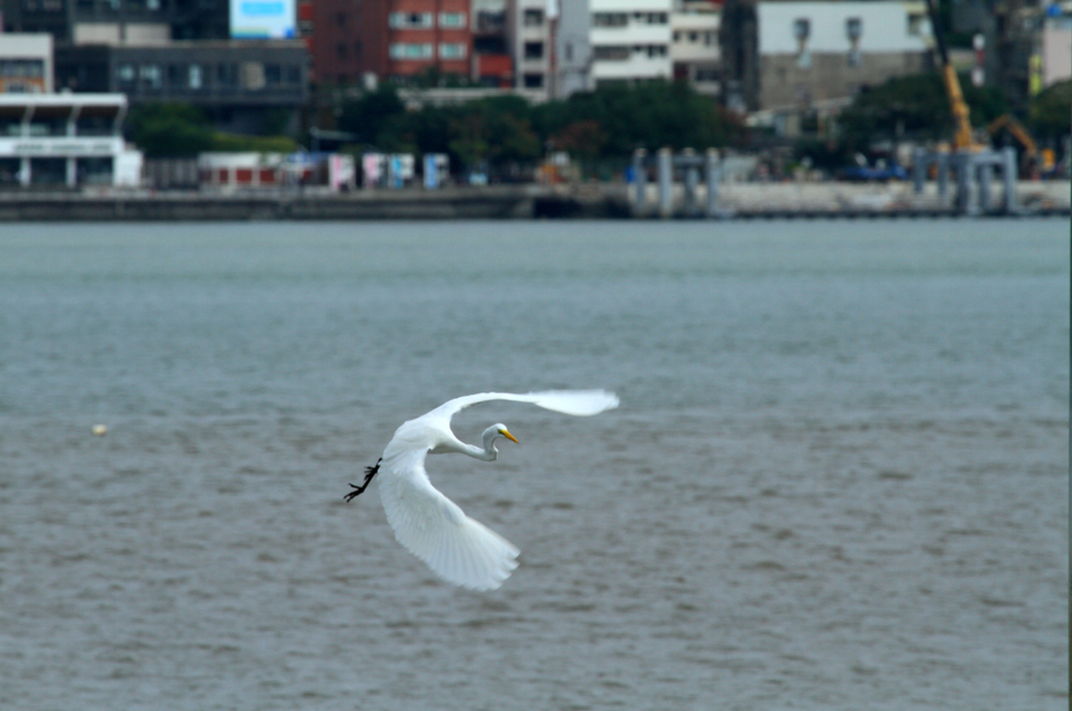 http://i.dcview.tw/gallery/201112/b39a538bc77f2022eade45916ea8f537.jpg
