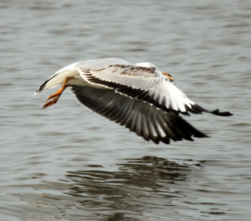 http://i.dcview.tw/gallery/201112/b69b774ca9cb797527d88df12c2e9651.jpg