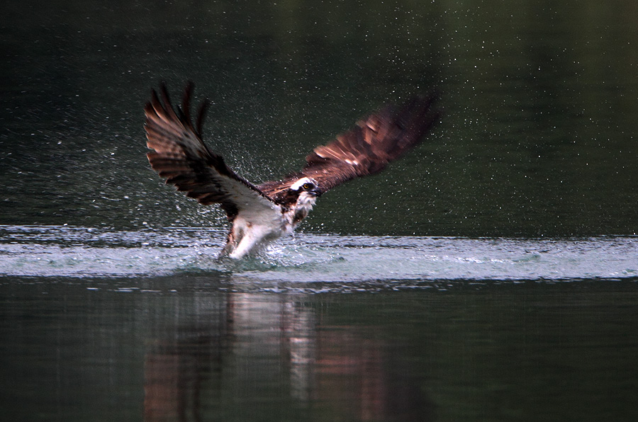 http://i.dcview.tw/gallery/201112/b94c61afe1a302b2d824c7840a1a9c11.jpg
