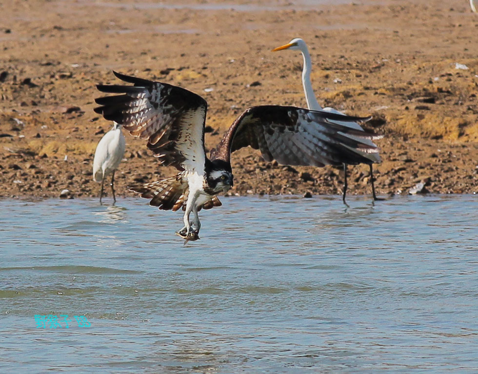 http://i.dcview.tw/gallery/201112/bfbfe21938db52ca5775876cb2d88bb1.jpg