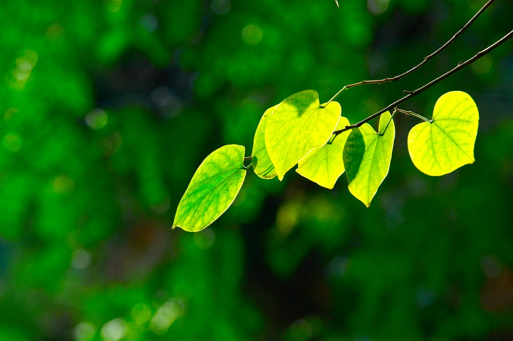 http://i.dcview.tw/gallery/201112/c1c897cc1d4d547f4289a1dcd7b4c85c.jpg