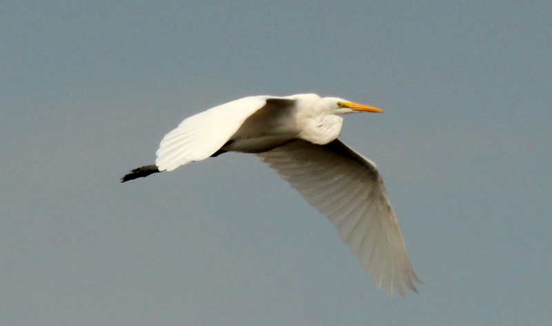 http://i.dcview.tw/gallery/201112/c6e41014e698af480e60cc04a61ee936.jpg