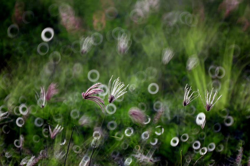 http://i.dcview.tw/gallery/201112/ca88f592fe8391ebb0f16ce743d762ba.jpg