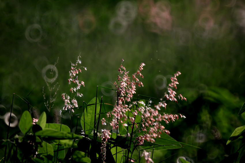 http://i.dcview.tw/gallery/201112/cade00a9a3d9e3fd4964411f87c96b9a.jpg