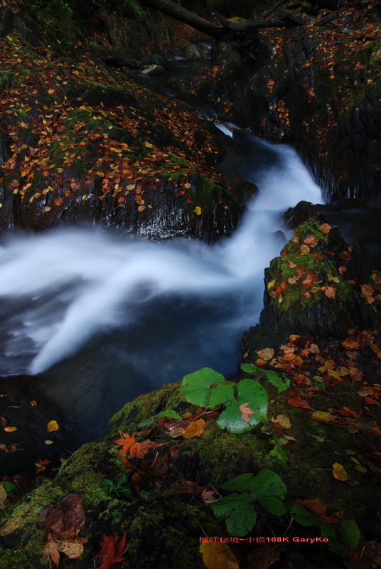 http://i.dcview.tw/gallery/201112/cbcabd2f6ccd9211b19110b8640d4761.jpg