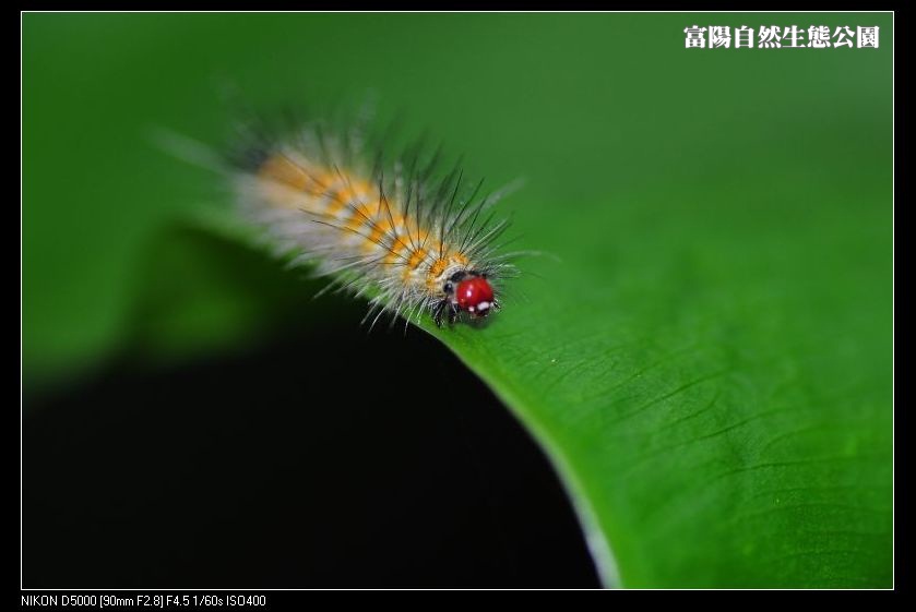 http://i.dcview.tw/gallery/201112/ce09556e5ea6c915771c441278b0155b.jpg