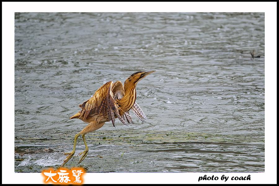 http://i.dcview.tw/gallery/201112/ce70f1de0a44534afedadd28fa53c447.jpg