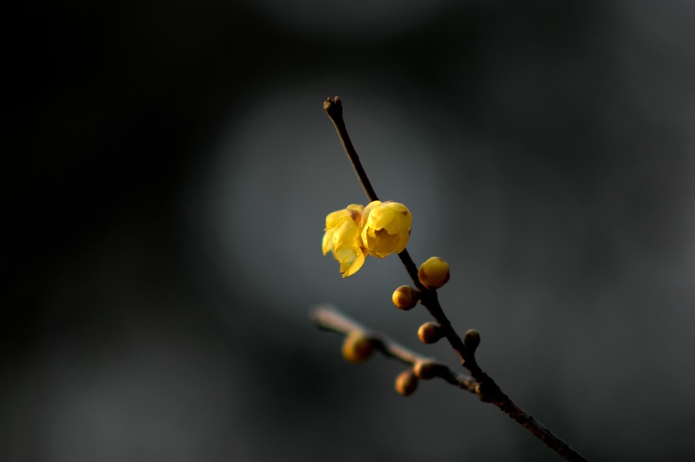 http://i.dcview.tw/gallery/201112/ce8edf5e7432db8c8609a2579b715c76.jpg