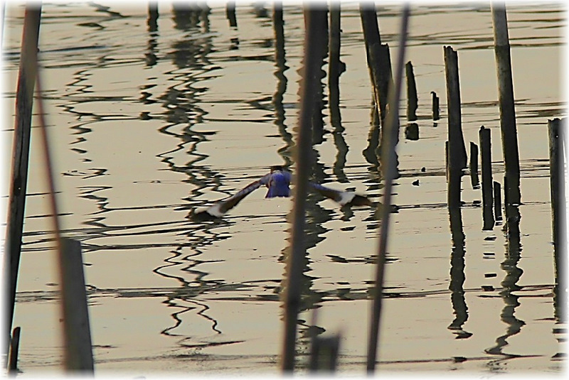 http://i.dcview.tw/gallery/201112/d09b82d596e174bd64bdc1b484cd3e26.jpg