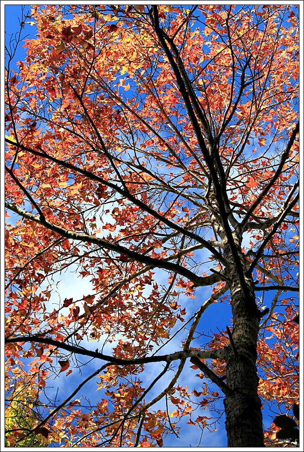 http://i.dcview.tw/gallery/201112/d9829f1467de93e46d86f01717ba5bee.jpg