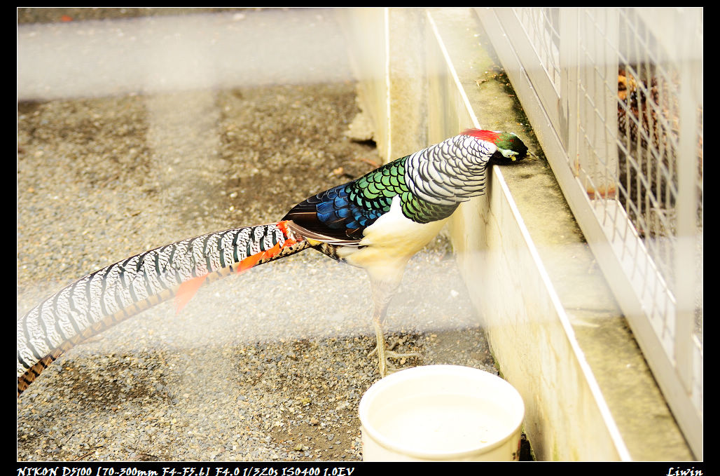 http://i.dcview.tw/gallery/201112/e35b77f2300b3dd2e4379d577d2ba2e3.jpg