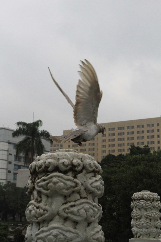 http://i.dcview.tw/gallery/201112/e769c16317d8396848a0e4c667c3a8ca.jpg