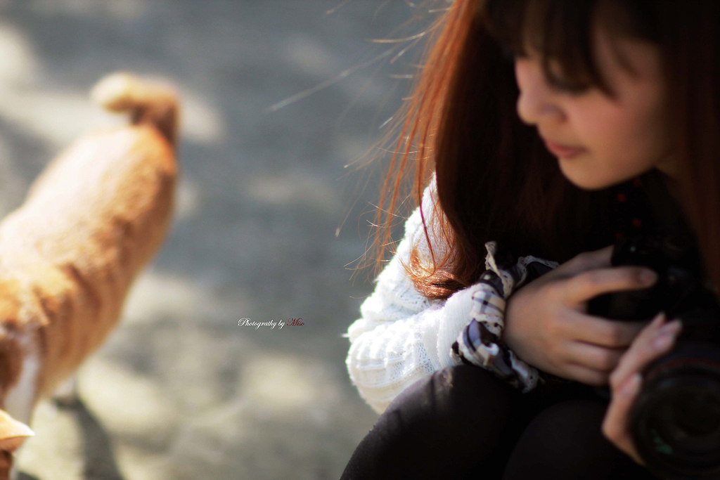 http://i.dcview.tw/gallery/201112/e7a2d1f6f353ba1c1587074303addd91.jpg