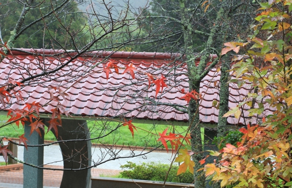 http://i.dcview.tw/gallery/201112/e8a49a7e42d3a539979bf248d4247b47.jpg