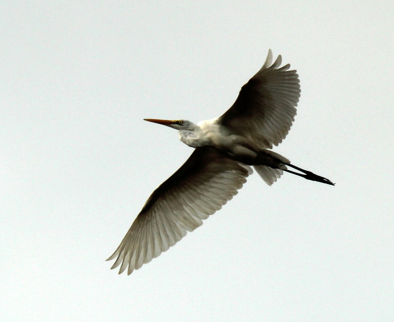 http://i.dcview.tw/gallery/201112/ea0a3b046882b61e5f10124deab621bd.jpg