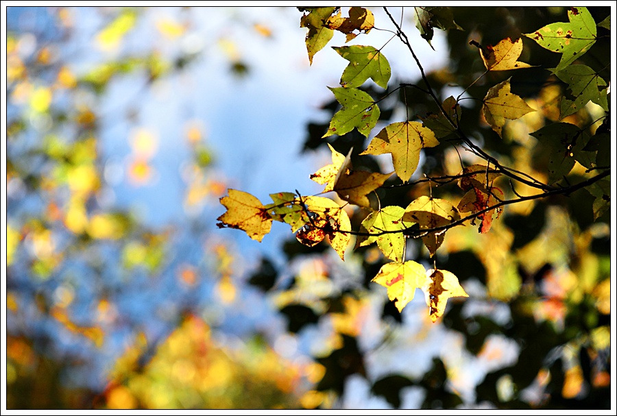 http://i.dcview.tw/gallery/201112/eb42529a2e09185348a5b243a19e0b86.jpg