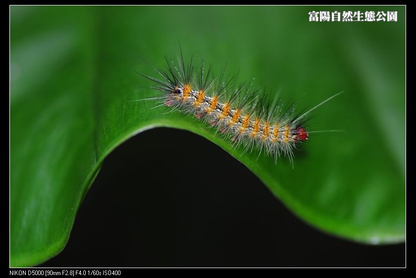 http://i.dcview.tw/gallery/201112/eb6cc8ac91712d2b06e0d355bc4c6450.jpg