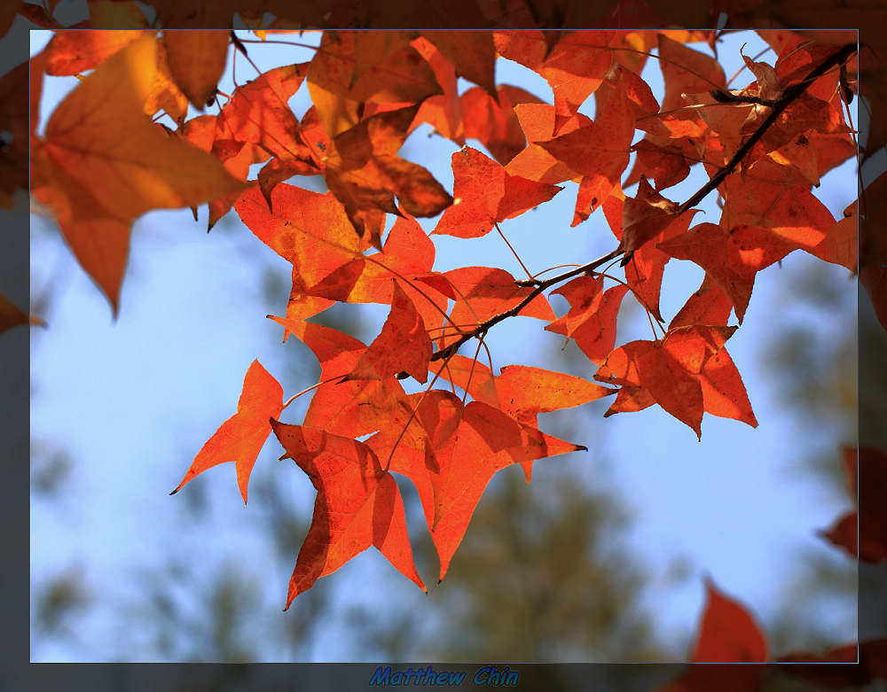 http://i.dcview.tw/gallery/201112/ed01009b7cd337bcfb6ebe5235279a7a.jpg
