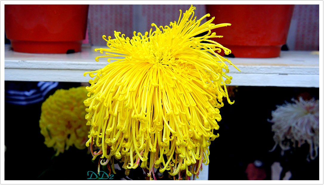http://i.dcview.tw/gallery/201112/ee2bf4a5a6a14cf7e20ef21fe3c6eb3c.jpg