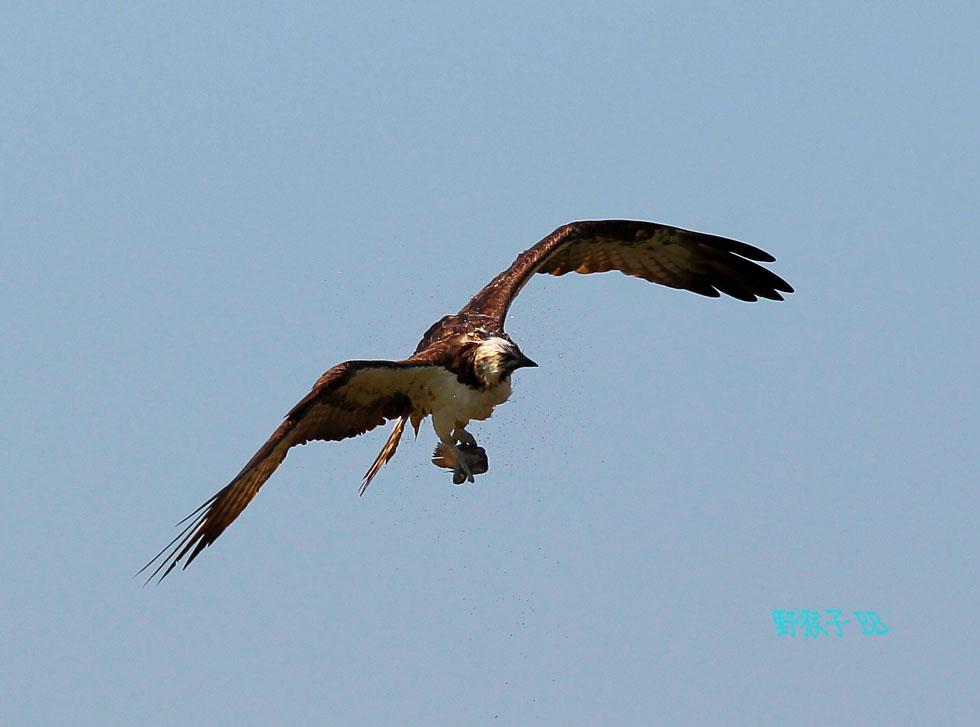 http://i.dcview.tw/gallery/201112/f0a3096f28136f9c8246b8cd1424b19c.jpg