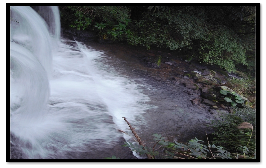 http://i.dcview.tw/gallery/201112/f1a684a0473a87cf39038c62c00b7830.jpg